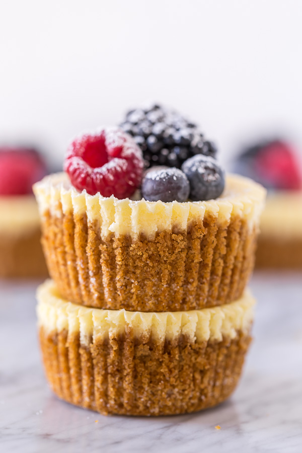 Mini Ricotta Cheesecakes are rich, creamy, and baked in a muffin tin! No water bath required for this mini cheesecake recipe. These little cuties are so perfect for parties and are always a crowd pleaser!