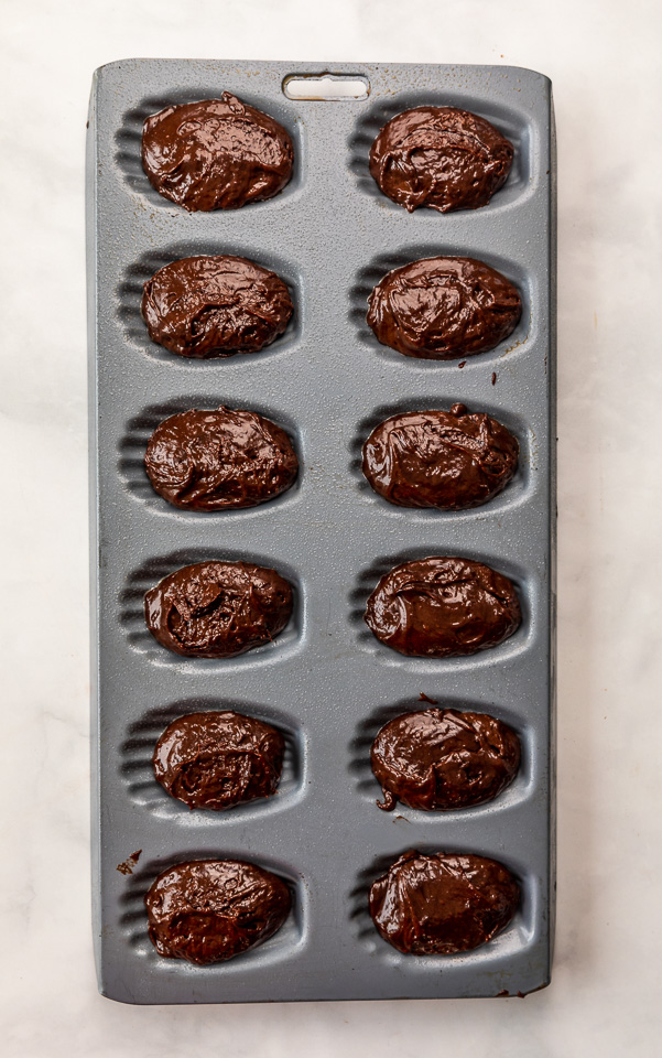 My Double Chocolate Madeleines are fluffy, cakey, and perfect for dunking in tea or coffee! A sweet treat that's sure to please the chocolate lovers in your life! So bust out your madeleine pan and let's get baking!