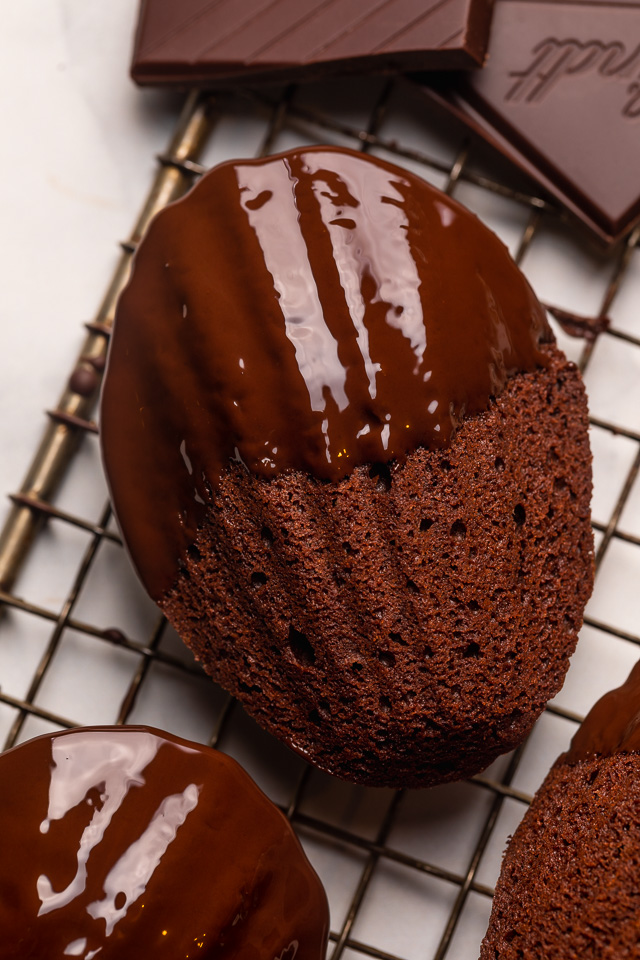 My Double Chocolate Madeleines are fluffy, cakey, and perfect for dunking in tea or coffee! A sweet treat that's sure to please the chocolate lovers in your life! So bust out your madeleine pan and let's get baking!