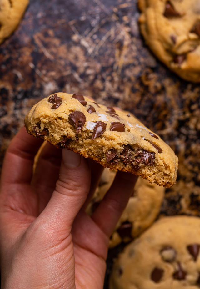 These Bakery-Style Chocolate Chip Cookies are super thick, rich in peanut butter flavor, and loaded with gooey chocolate chips! Press extra chocolate chips on top and sprinkle with sea salt for an impressive presentation! A great recipe for anyone who loves the combination of chocolate and peanut butter!