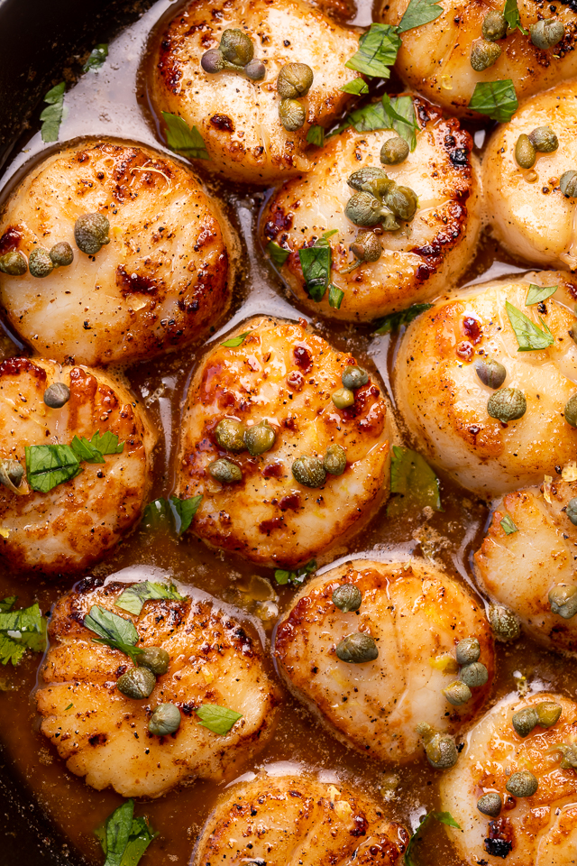 Perfectly pan seared scallops are served in a delicious white wine lemon caper sauce! This special occasion recipe is so easy and comes together in less than 20 minutes! Just be sure not to overcook your scallops, only cook for 1 minute and 30 seconds or so per side!