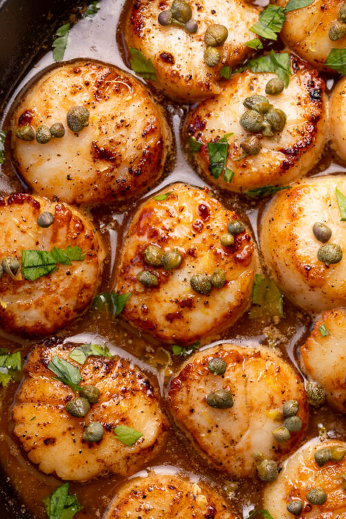 Perfectly pan seared scallops are served in a delicious white wine lemon caper sauce! This special occasion recipe is so easy and comes together in less than 20 minutes! Just be sure not to overcook your scallops, only cook for 1 minute and 30 seconds or so per side!
