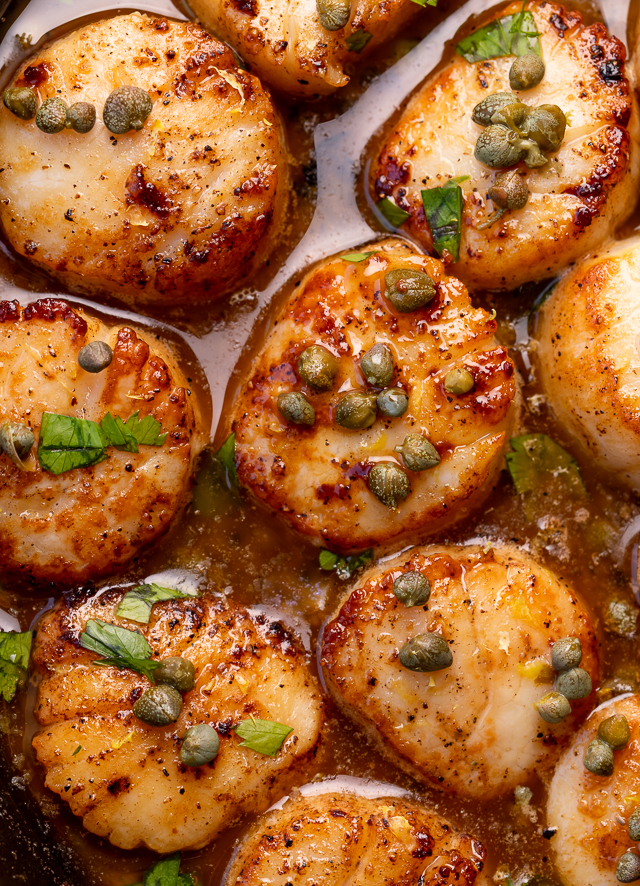 Perfectly pan seared scallops are served in a delicious white wine lemon caper sauce! This special occasion recipe is so easy and comes together in less than 20 minutes! Just be sure not to overcook your scallops, only cook for 1 minute and 30 seconds or so per side!
