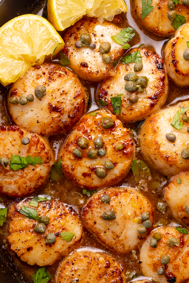 Perfectly pan seared scallops are served in a delicious white wine lemon caper sauce! This special occasion recipe is so easy and comes together in less than 20 minutes! Just be sure not to overcook your scallops, only cook for 1 minute and 30 seconds or so per side!