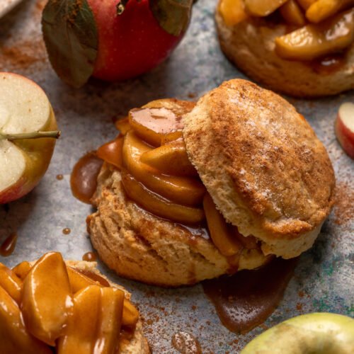 Featuring buttery biscuits topped with sugar and cinnamon and gooey apple pie filling, these cinnamon apple shortcakes are a Fall favorite! A great way to use up an abundance of apples. Top with freshly whipped cream or ice cream!