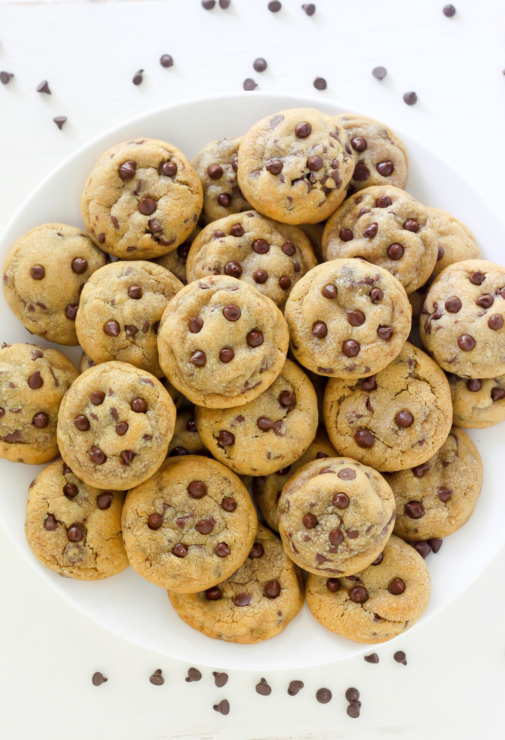 Craving chocolate chip cookies? Well, you're in the right place! Today I'm sharing 21 chocolate chip cookie recipes sure to cure ANY craving! Seriously! So whether you're looking for mini chocolate chip cookies, vegan chocolate chip cookies, or monster chocolate chip cookies loaded with m&ms and chewy oats, I've got you covered!