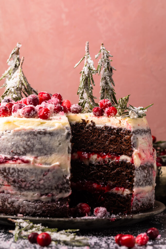 A chocolate Christmas cake with sugared cranberries and rosemary on top.
