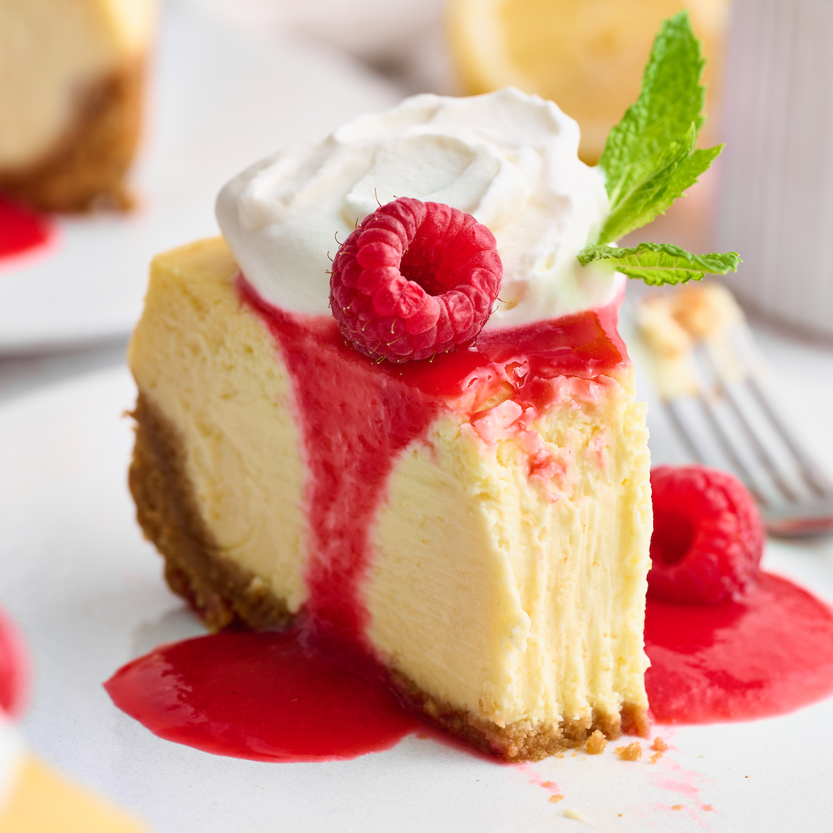 This stunning lemon ginger cheesecake is rich, cream, and silky smooth! Made with fresh ginger, lemon juice, and lemon zest, it's bursting with fresh flavor. The hot pink raspberry sauce makes it a total showstopper!